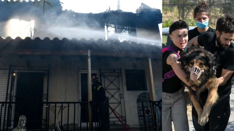 Φωτιά στα Βίλια: Συγκλονιστικές εικόνες από την επέλαση της πύρινης λαίλαπας - Κάηκαν σπίτια στον Προφήτη Ηλία [Βίντεο]