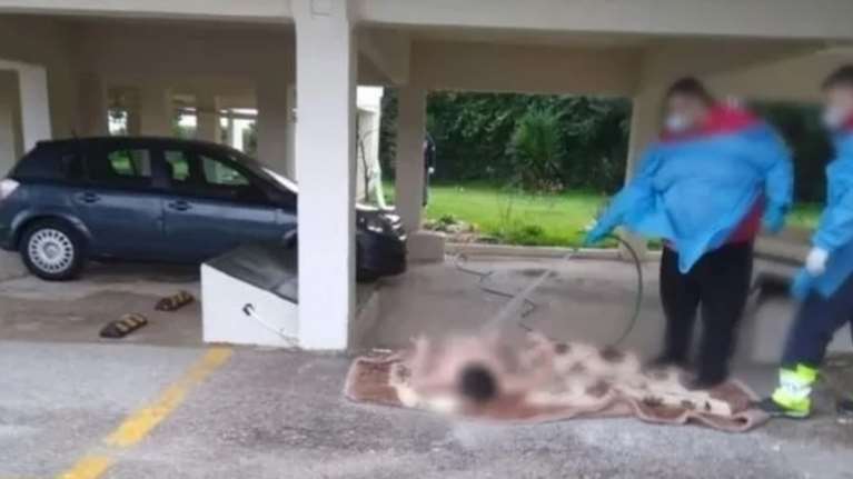 Ωρωπός: Εισαγγελική έρευνα για τις εικόνες ντροπής με τη γυμνή ηλικιωμένη - Σε αργία ο ένας υπάλληλος