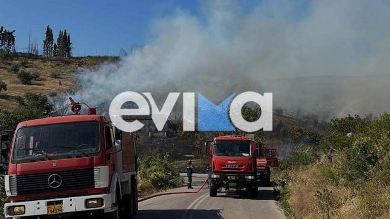 Νέα φωτιά στην Εύβοια: Στο χωριό Κοντοδεσπότι - Χρειαζόμαστε ενισχύσεις, λέει ο δήμαρχος Διρφύων Μεσσαπίων [εικόνες]