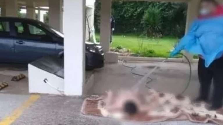 Εικόνες ντροπής στον Ωρωπό: Πλήρωμα ασθενοφόρου πλένει με λάστιχο ηλικιωμένη σε πυλωτή πολυκατοικίας