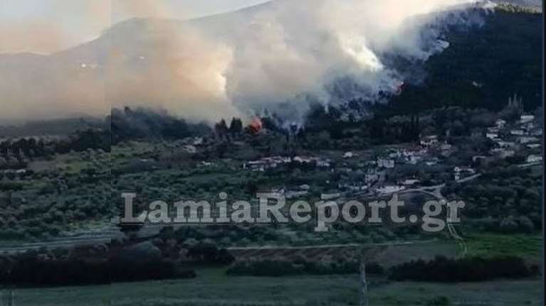 Φθιώτιδα: Ξέσπασε μεγάλη φωτιά στην Μενδενίτσα - Ανεμοι έξι μποφόρ σπρώχνουν τις φλόγες σε κατοικημένες περιοχές