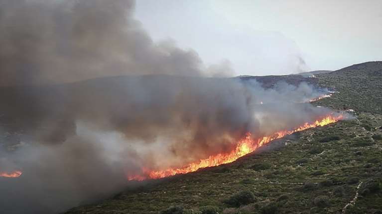 Φωτιά στο Λαύριο: Καίγεται δασική έκταση - Μεγάλη κινητοποίηση της πυροσβεστικής