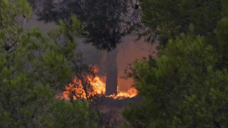 Φωτιές: Συνελήφθη ο πρώην δικηγόρος για εμπρησμό στον Αυλώνα - Ελεύθεροι οι τρεις με τα σπρέι, τα κιάλια και τους αναπτήρες
