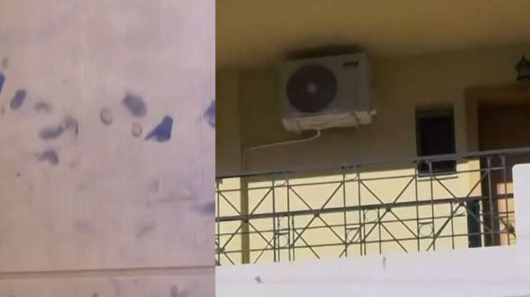 Καμένα Βούρλα: Αποκαλύψεις για τη δολοφονία της 84χρονης - Η μεγάλη περιουσία και τα κληρονομικά - &quot;Την έδερνε όταν ήταν εδώ&quot;