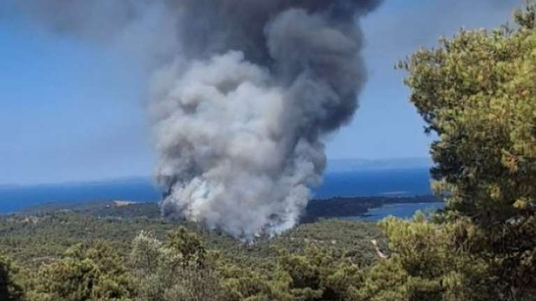 Φωτιά στη Βουρβουρού Χαλκιδικής:  Απειλήθηκαν σπίτια - Εκκενώθηκε κάμπινγκ - Καλύτερη η εικόνα της πυρκαγιάς  [βίντεο]
