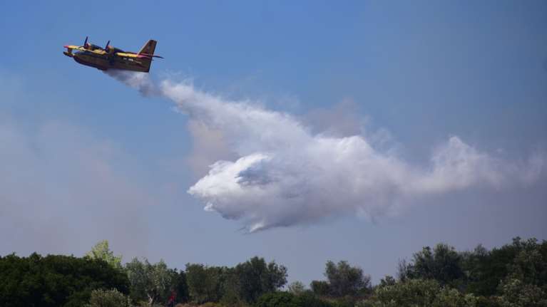 Φωτιά στη Μεσσηνία: Καναντέρ και επίγειες δυνάμεις στη μάχη με τις φλόγες σε δασική έκταση στην Αρσινόη