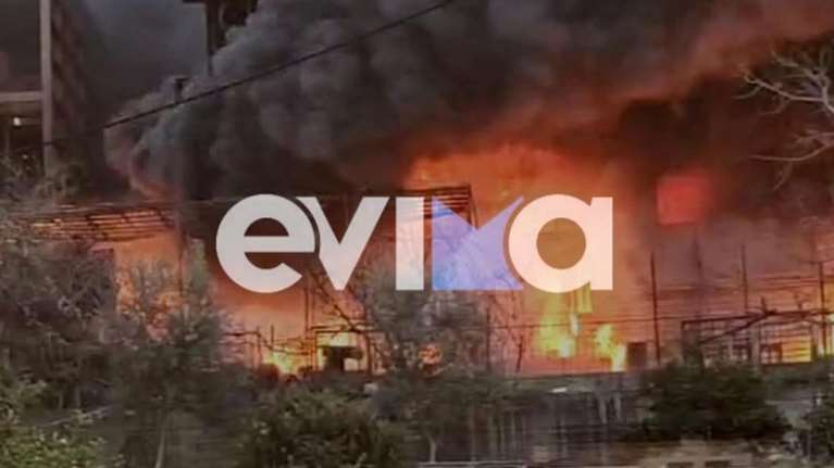 Χαλκίδα: Μεγάλη φωτιά ξέσπασε σε σπίτι - Δύο άτομα μεταφέρθηκαν στο νοσοκομείο [βίντεο]