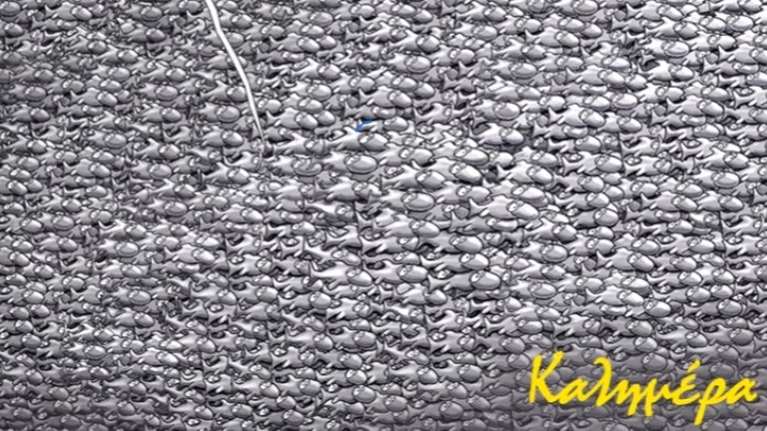 Με άγριες διαθέσεις μας καλημερίζει σήμερα ο Αρκάς