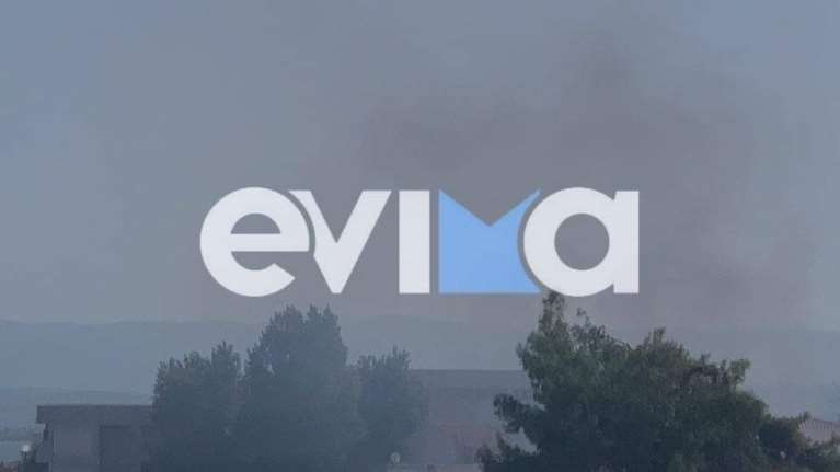 Φωτιά στη Χαλκίδα κοντά σε σχολείο - Κάλυψε την πόλη ο καπνός