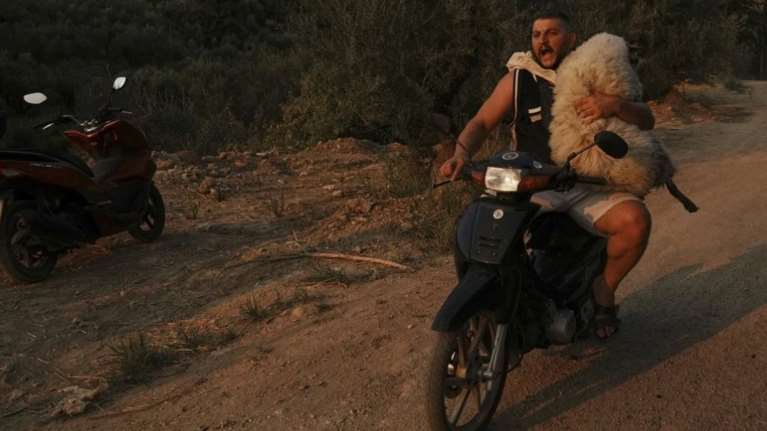 Ολσιέν Μουτσομπέγκα: "Είμαι τρελάκιας με τα ζώα" - Ποιος είναι ο 33χρονος που έσωσε το πρόβατο και δεμένους σκύλους στην Αχαΐα