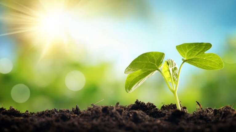 Ποια είναι τα "πράσινα" επαγγέλματα του μέλλοντος - Πώς η κλιματική αλλαγή θα επηρεάσει τον εργασιακό τομέα