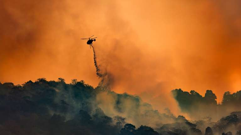 Λέσβος: Προσήχθη 55χρονος που ομολόγησε την πρόκληση τεσσάρων πυρκαγιών σε μία ημέρα