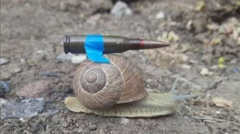 Βερολίνο: O Ουκρανός πρέσβης τρολάρει τους Γερμανούς - Τα γερμανικά όπλα έρχονται στην Ουκρανία με... σαλιγκάρι