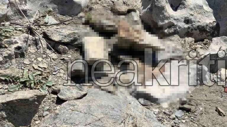 Ηράκλειο: Μυστήριο με άνδρα που βρέθηκε νεκρός με πολλαπλά τραύματα  στο δάσος του Κόφινα  [εικόνες]
