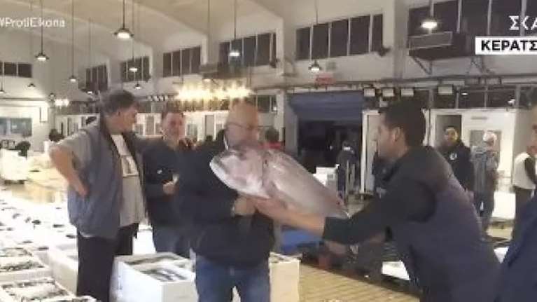 Τρόμαξε ο Τσελίκας του ΣΚΑΪ στην Ιχθυόσκαλα: &quot;Θα με φάει αυτό! Τι είναι αυτό το θηρίο;&quot; [βίντεο]