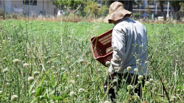 Συναγερμός στη Λακωνία: Εργάτες γης από Ασία και Αφρική θετικοί στον ιό - Επιτόπου κλιμάκιο του ΕΟΔΥ