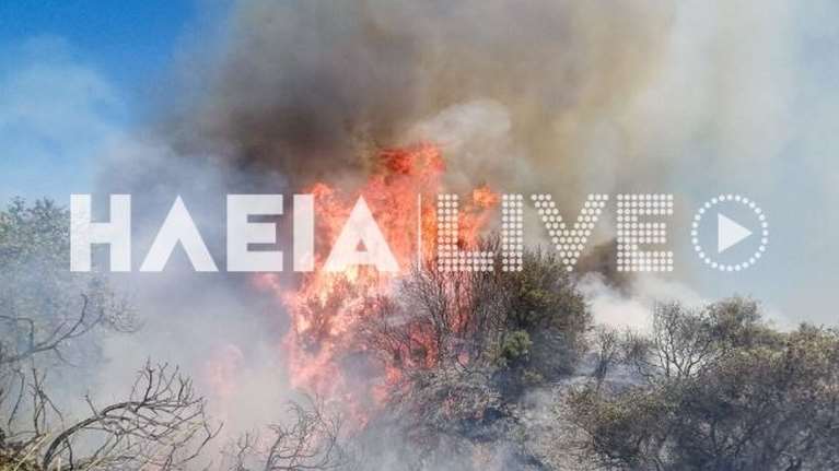 Ηλεία: Φωτιά σε αγροτοδασική έκταση - Επειχειρούν 4 εναέρια [εικόνες]