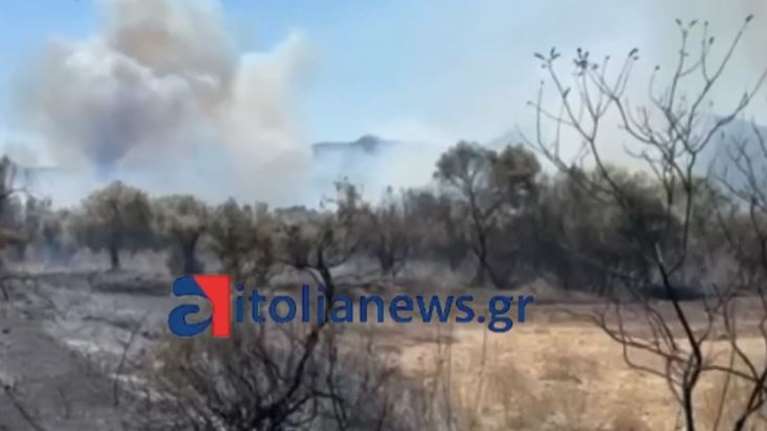 Αιτωλοακαρνανία: Φωτιά στη Βόνιτσα κοντά στη λίμνη Βουλκαριά - Σηκώθηκαν 3 εναέρια [βίντεο]