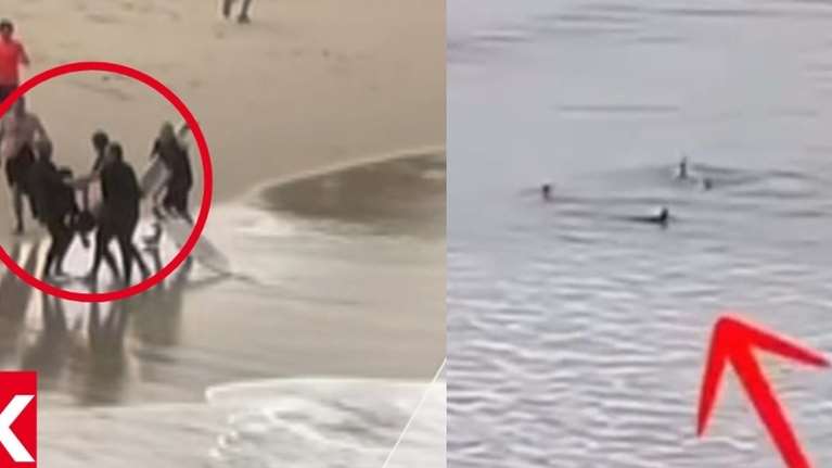 Καρχαρίας επιτέθηκε σε 16χρονο που κολυμπούσε στην Αυστραλία - Σέρφερ άρχισε στις... μπουνιές το αρπακτικό της θάλασσας