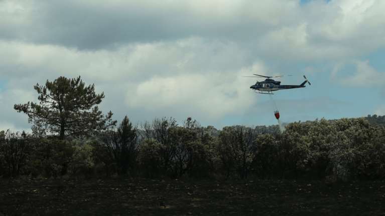 Καίγεται δάσος στην Αιτωοακαρνανία - Εναέρια μέσα στη μάχη με τις φλόγες