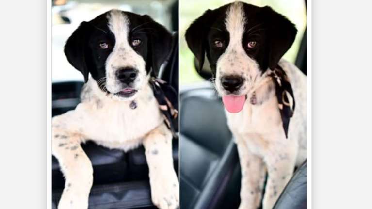 Η Αλίντα: Για αυτά τα υπέροχα πράσινα γλαρά της μάτια