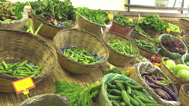 Νεκρή 46χρονη από αλλαντίαση στο Κιάτο: Αυτό είναι το μοιραίο λάθος που έκαναν με τα φασολάκια μάνα και κόρη