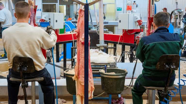 Συναγερμός στην Καστοριά: Θετικοί στον κορονοϊό 10 εργαζόμενοι σε φάρμες μινγκ