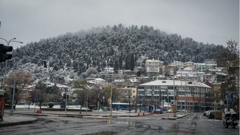 καστορια