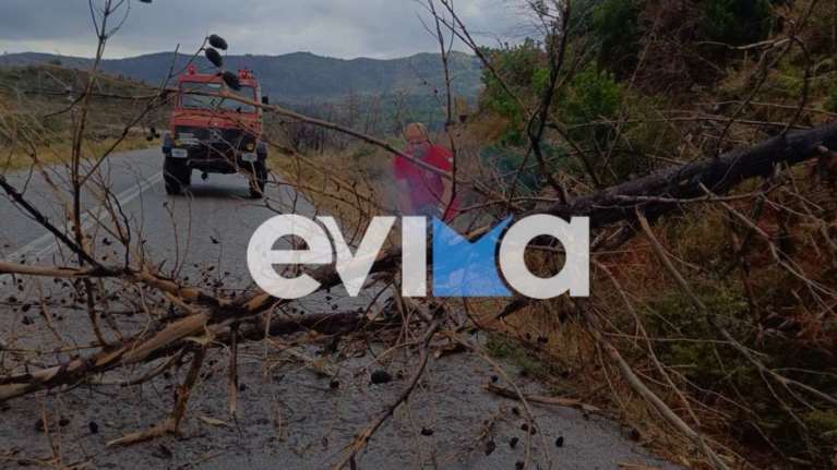 Κακοκαιρία ΑΤΕΝΑ: Έφτασαν στην Εύβοια τα έντονα καιρικά φαινόμενα - Καταιγίδες και ισχυροί άνεμοι [βίντεο]