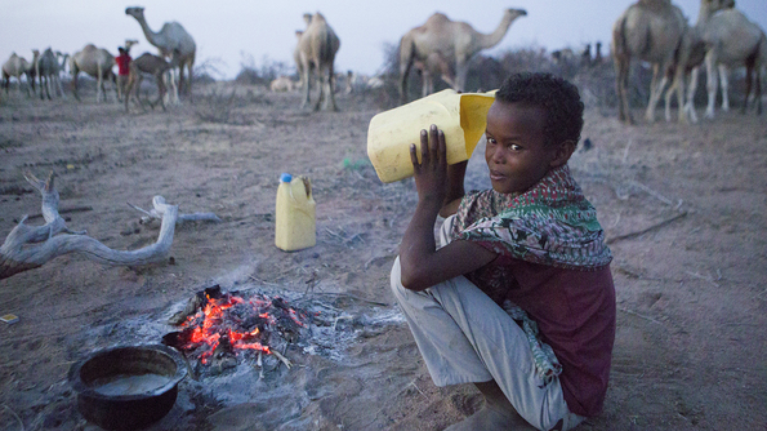 ΟΗΕ: 256 εκατομμύρια άνθρωποι στα πρόθυρα του λιμού το 2020