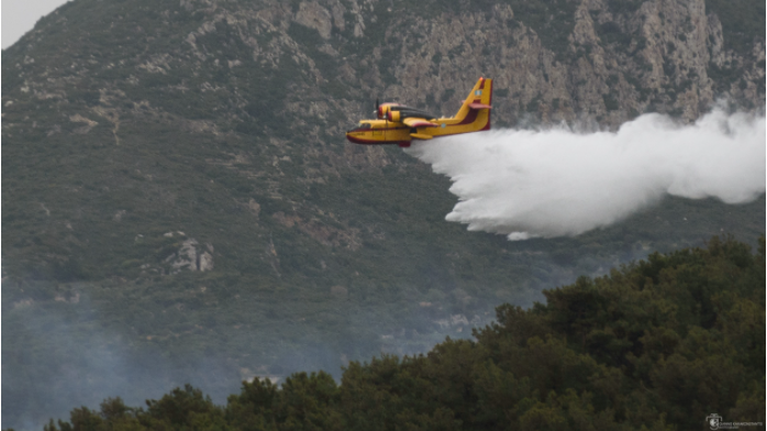 Πυρκαγιά στο Μετόχι Πηλίου: Επιτόπου ισχυρές δυνάμεις της Πυροσβεστικής - Σηκώθηκαν εναέρια μέσα