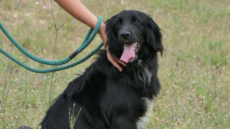 Ο Ερμής είναι ένα καλόψυχο και καλόβολο τρελοκομείο, που ενθουσιάζεται με τα πάντα και προσπαθεί να κάνει τα πάντα ταυτόχρονα