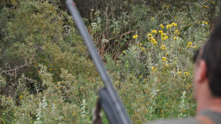 Σοκ στο Αγρίνιο: 65χρονος αυτοπυροβολήθηκε μέσα στο σπίτι του - Στο διπλανό δωμάτιο η μητέρα και ο αδερφός του