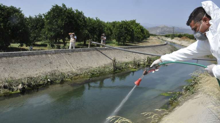 Ιός του Δυτικού Νείλου: Συνολικά τρία τα κρούσματα στην χώρα - Σε ποιες περιοχές εντοπίστηκαν