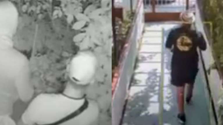 Βόρεια Προάστια: Συμμορία έμπαινε σε σπίτια και τα &quot;ξάφριζε&quot; - Η στιγμή που σκύλος τούς έπιασε στα πράσα