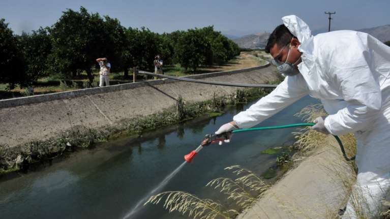 Ανησυχία για τον ιό του Δυτικού Νείλου: Εξι κρούσματα στη χώρα, τα 5 νόσησαν σοβαρά
