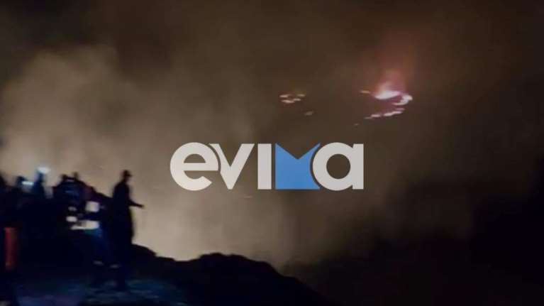 Φωτιά ξέσπασε στην Εύβοια - Ισχυροί άνεμοι στην περιοχή