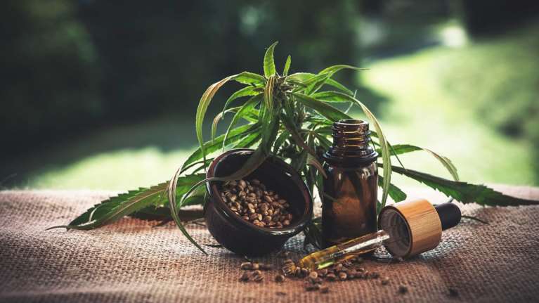 Εγκαίνια της πρώτης ολοκληρωμένης επένδυσης για φαρμακευτική κάνναβη στην Κόρινθο