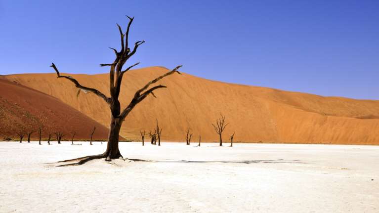 Κλιματική αλλαγή: Η νότια Ευρώπη προετοιμάζεται για ένα ακόμη καλοκαίρι έντονης ξηρασίας
