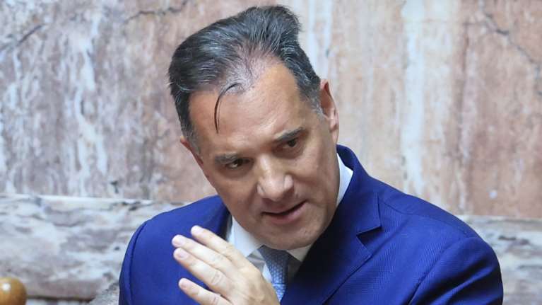 Γεωργιάδης για πορεία στη Γάζα: Η αφέλεια και η ανοησία των αριστερών της Δύσεως ξεπερνά κάθε φαντασία