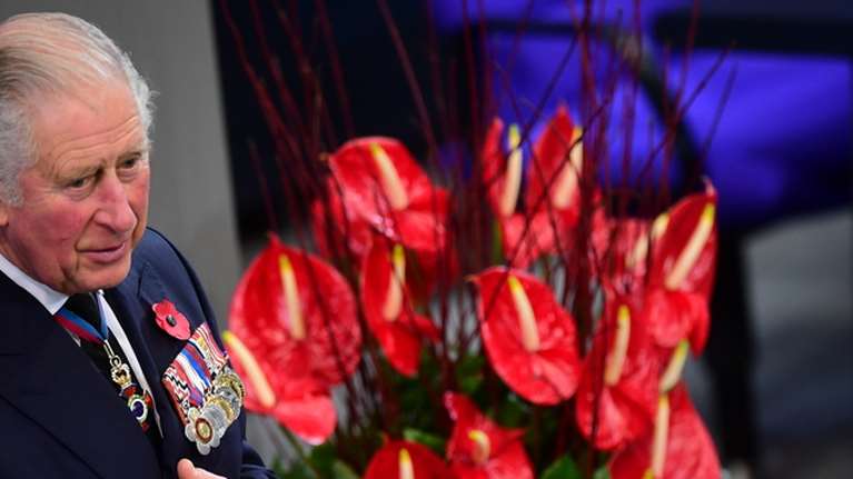 Πρίγκιπας Κάρολος για φωτιές: "Είναι εφιαλτικό να βλέπω τον άλλοτε γαλάζιο ουρανό της Ελλάδας να γίνεται πορτοκαλί"