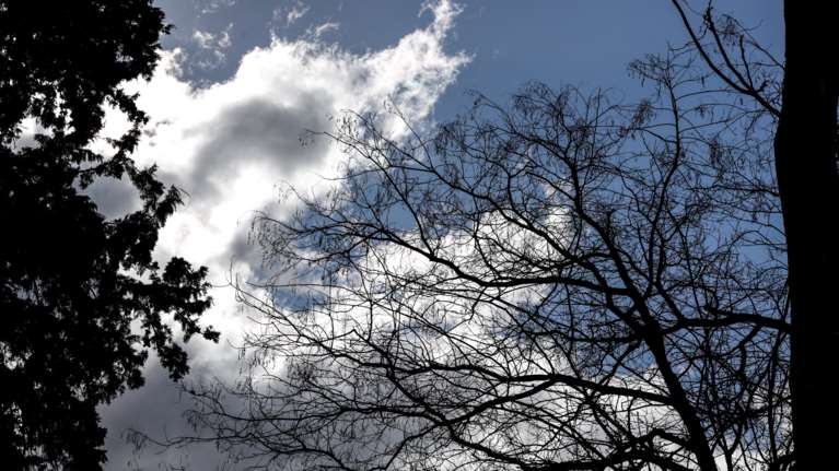 Επικαιροποιήθηκε το έκτακτο δελτίο της ΕΜΥ για την κακοκαιρία Bettina: Εξασθενούν οι καταιγίδες και οι ισχυροί άνεμοι