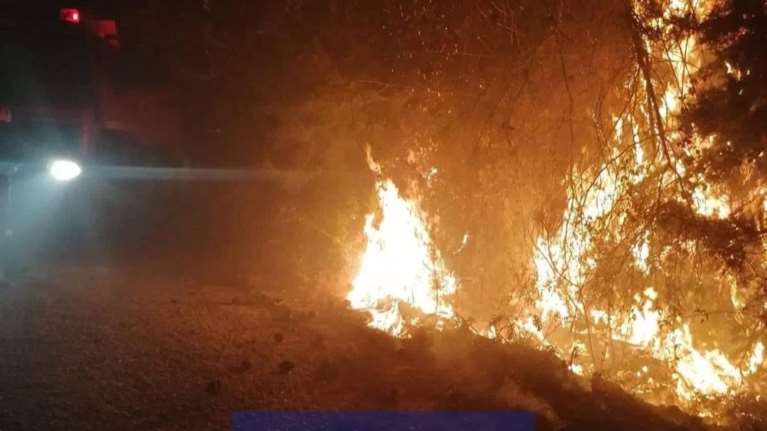 Φωτιά στη Λέσβο: Κάηκαν 10 στρέμματα, τραυματίστηκε πυροσβέστης