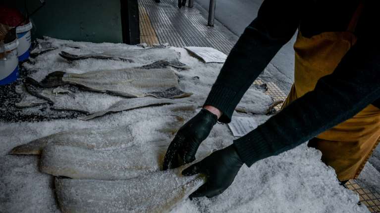 &quot;Αλμυρός&quot; φέτος ο μπακαλιάρος για την 25η Μαρτίου - Πόσο θα κοστίσει