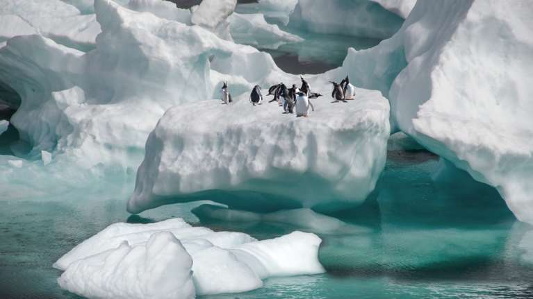 Συναγερμός στην Ανταρκτική: Tο μεγαλύτερο παγόβουνο του κόσμου απειλεί νησί με πιγκουίνους και φώκιες