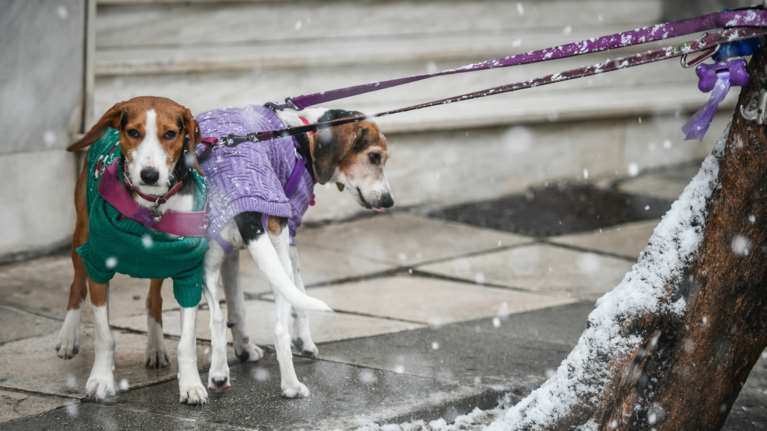Επιστρέφει ο χειμώνας, προειδοποιεί ο Αρναούτογλου - &quot;Θέλει προσοχή τις επόμενες ημέρες&quot;