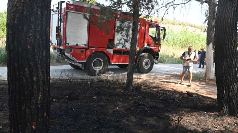 Καταδικάστηκε για φωτιά σε αλσύλλιο στην Αθήνα - Στη φυλακή για έναν χρόνο και πρόστιμο 11.500 ευρώ