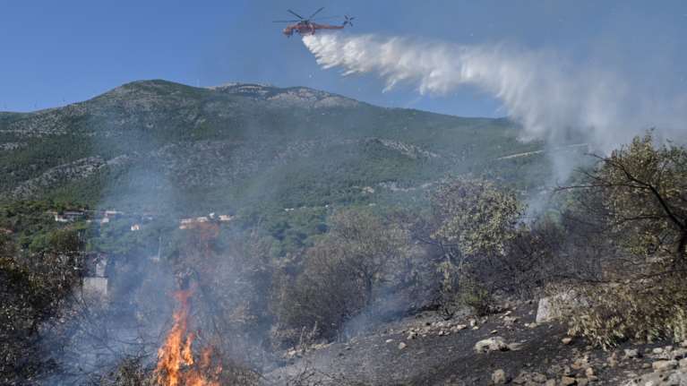 Υπό έλεγχο οι πυρκαγιές σε Μαγνησία και Αχαΐα - Καλύτερη η εικόνα στη Φθιώτιδα