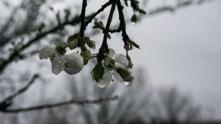Καιρός: Βροχές και καταιγίδες σήμερα στο μεγαλύτερο μέρος της χώρας - Εως 23 βαθμούς ο υδράργυρος