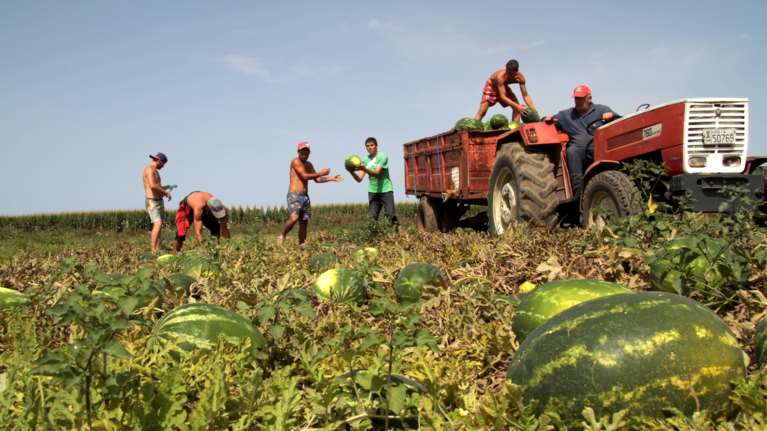 Έρχεται πιλοτικό πρόγραμμα για τους εργάτες: Η ΔΥΠΑ θα πληρώνει τη μετακίνησή τους